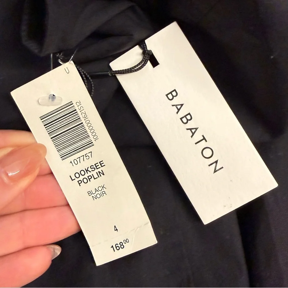 Aritzia Babaton Looksee Poplin Dress in Black - Picture 14 of 14